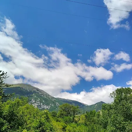 Apartment Adventures