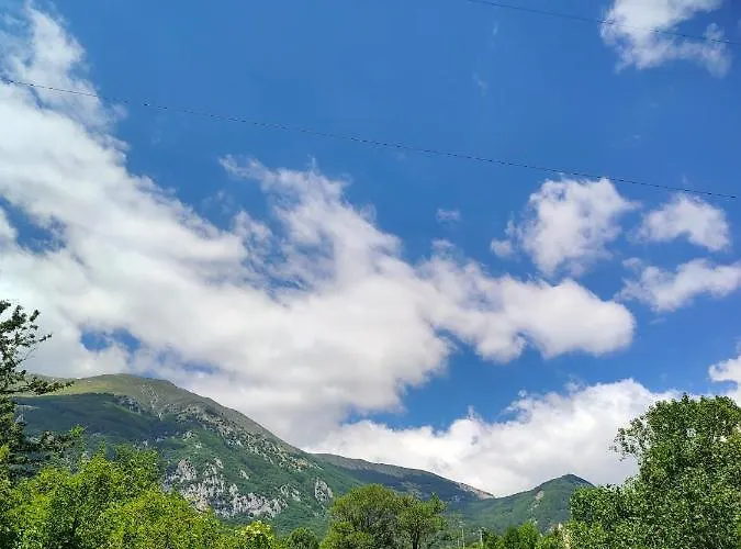 Apartment Adventures